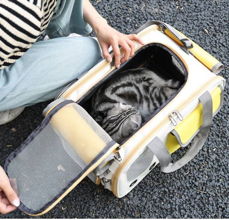 Designer fashion new cat out portable handbag Breathable pet four seasons universal roller curtain bag