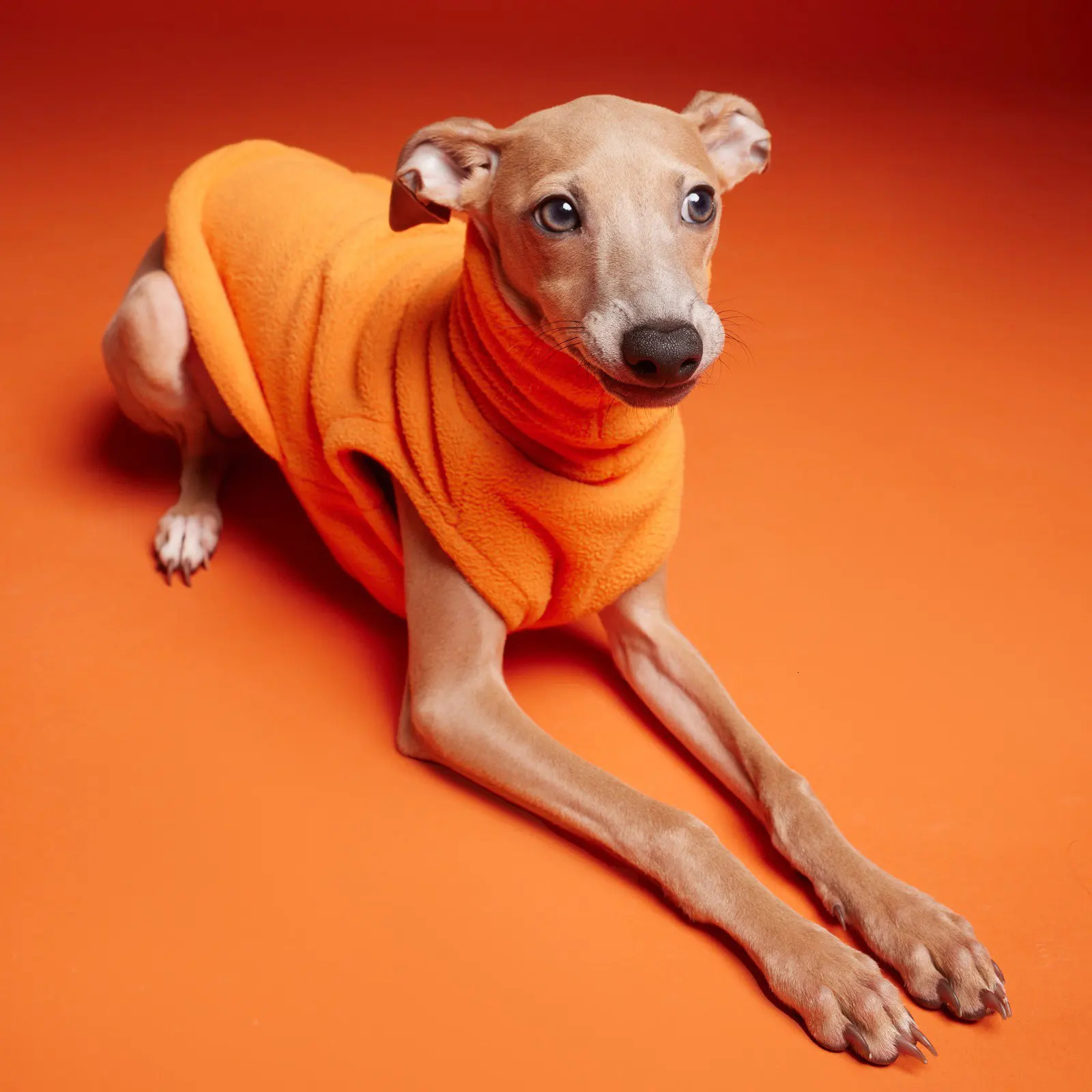 Winter Polar Fleece Italian Greyhound Warm Vest High Collar Double Layer Whippet Small and Medium Dog Coat 250226