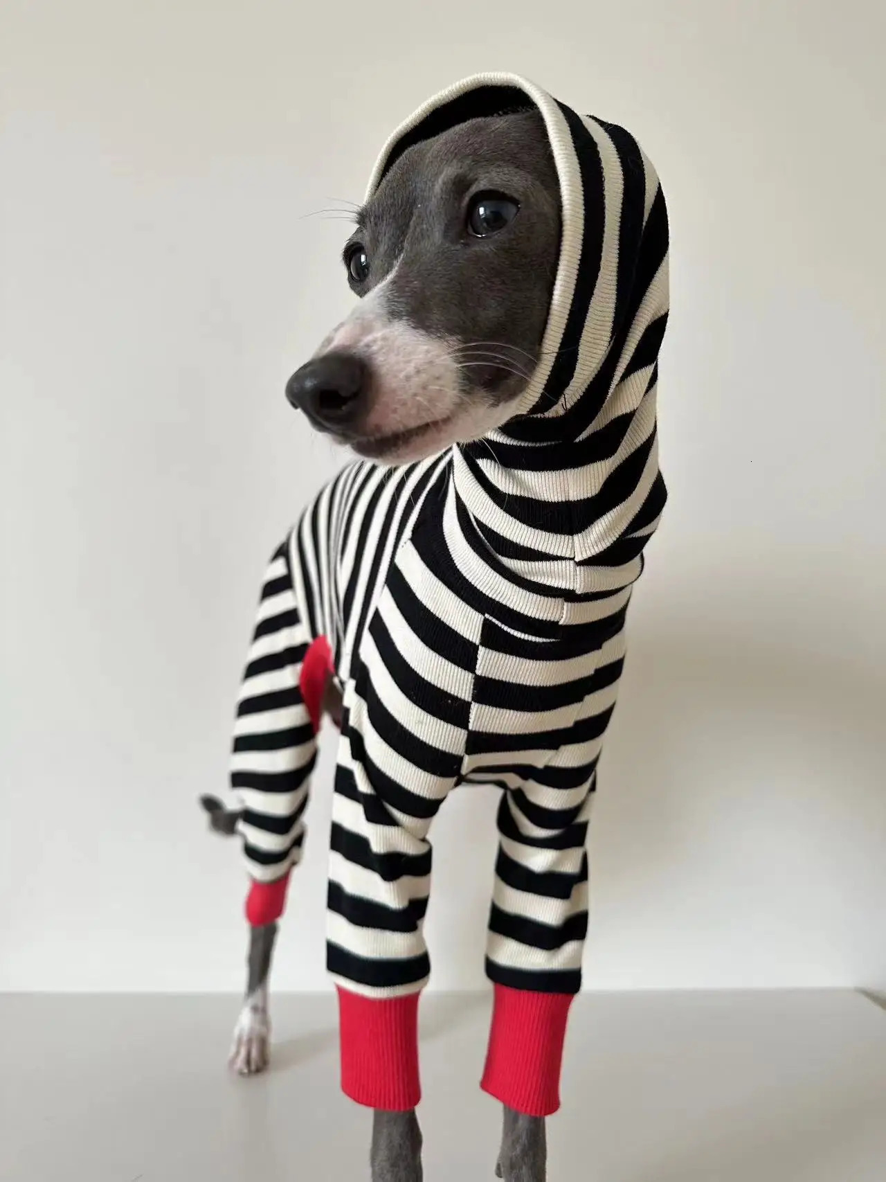 Italian greyhound striped four-legged clothing soft stretchy whippet clothing winter warm dog clothing 250226