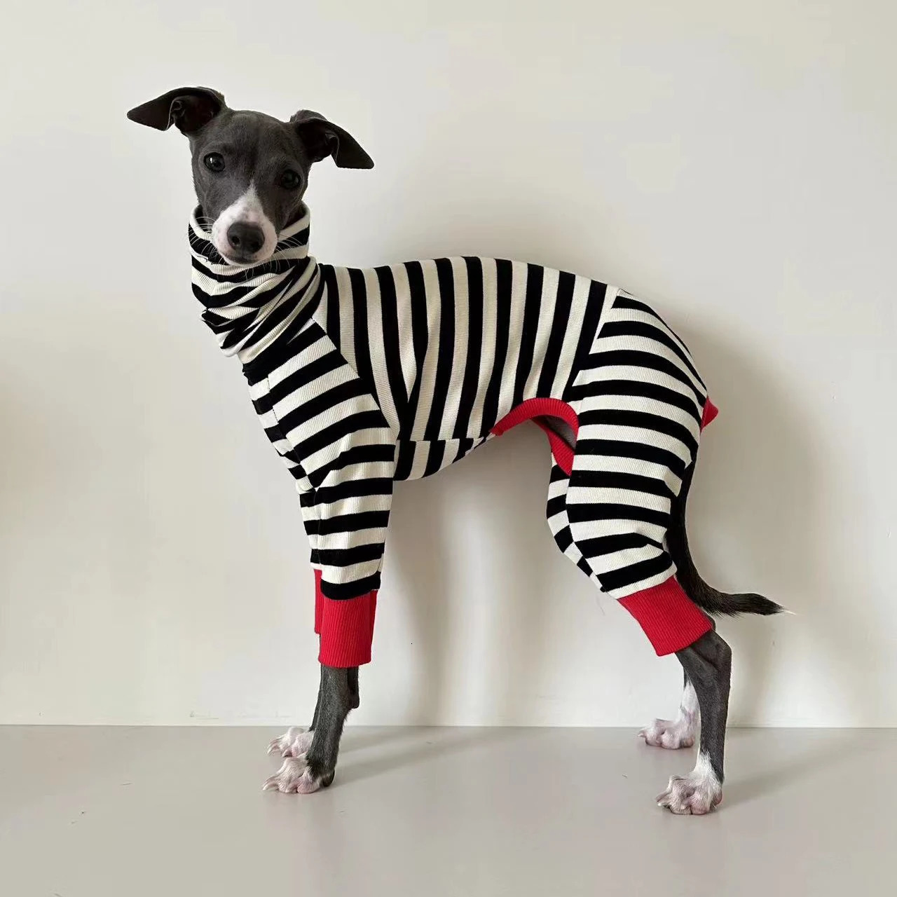 Italian greyhound striped four-legged clothing soft stretchy whippet clothing winter warm dog clothing 250226