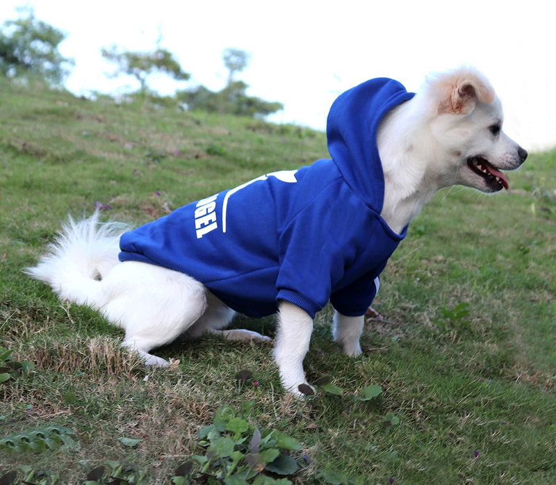 DOG ANGEL Dog Hoodie for Small Medium Large Dogs, Winter Fall Warm Dog Clothes for Various Varieties Dogs , Dog Shirt Jackets with Bulldog Clothing Co