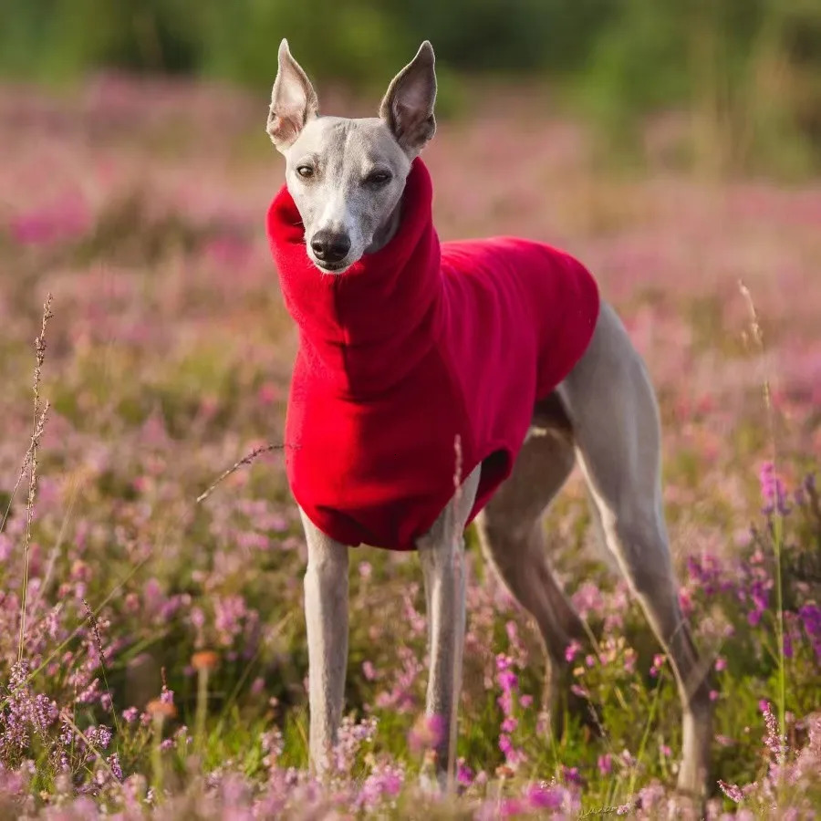 Winter Fleece Whippet Vest Italian Greyhound Clothes Turtleneck Dog Clothes Soft Fleece Clothes 250226