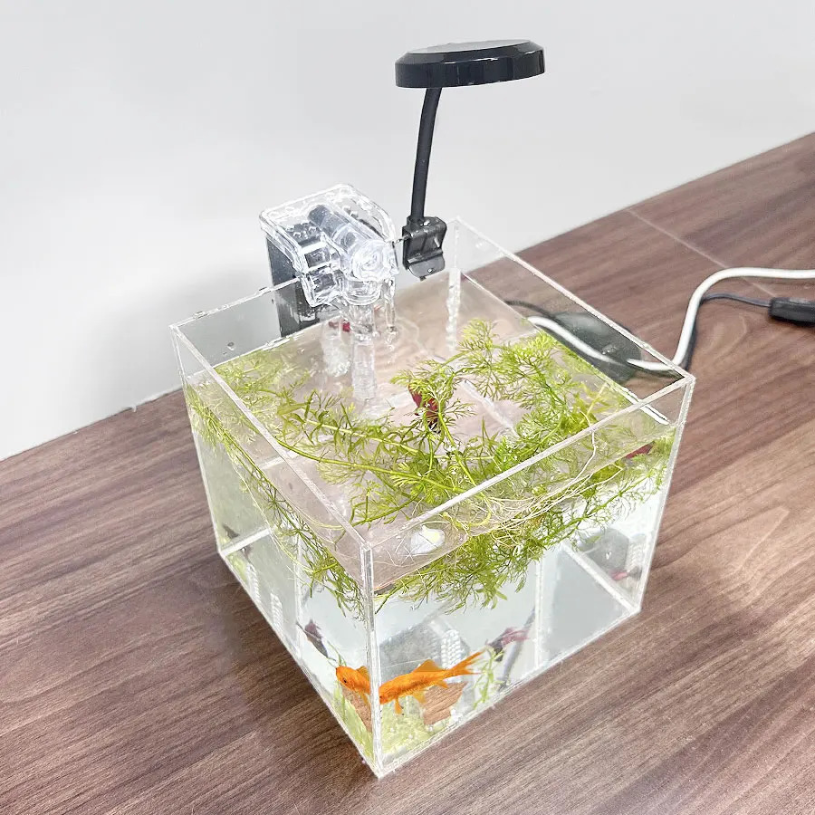 home office desktop transparent acrylic aquarium water grass ecological breeding small water tank small shrimp small turtle s 250530