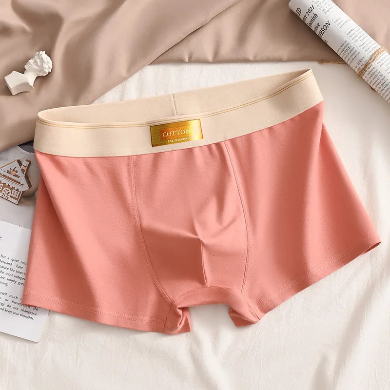 3pcs Men Underwear Cotton BoxerShorts Hombre Panties Man Breathable Underpants Sexy Sports Comfort Male Boxers Large Size L-6XL 250530