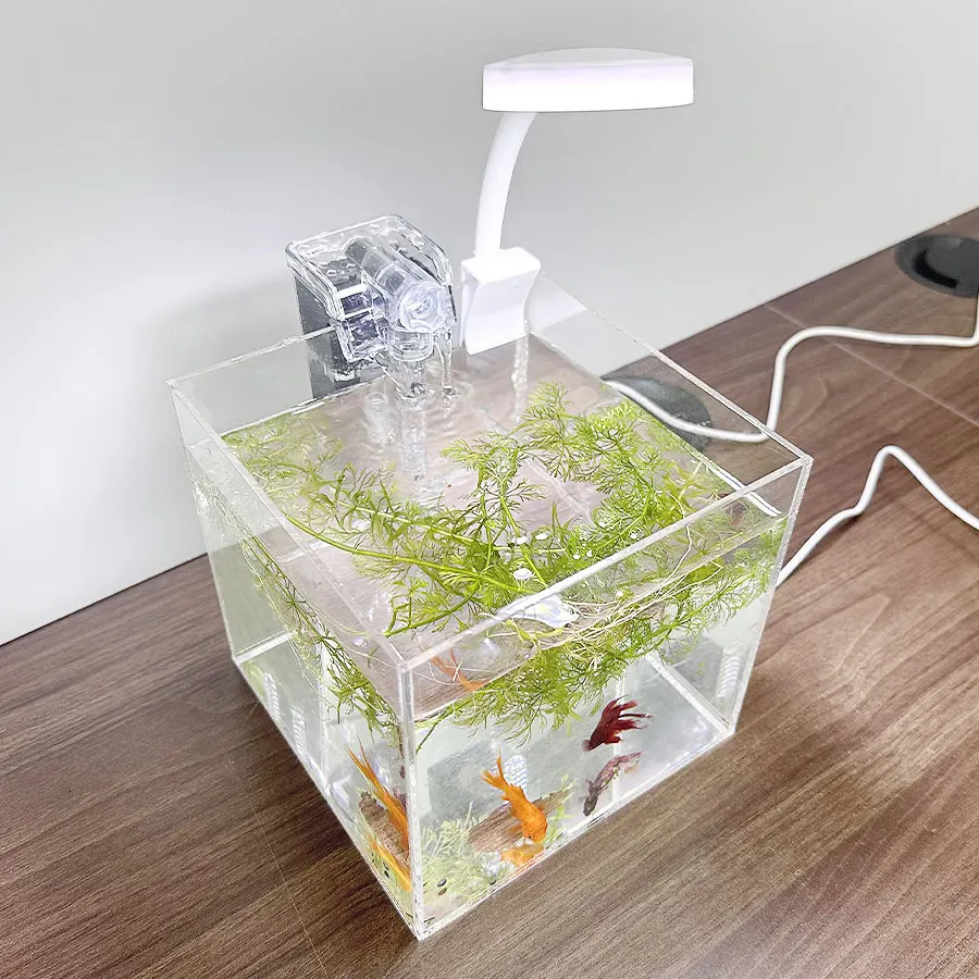 home office desktop transparent acrylic aquarium water grass ecological breeding small water tank small shrimp small turtle s 250530