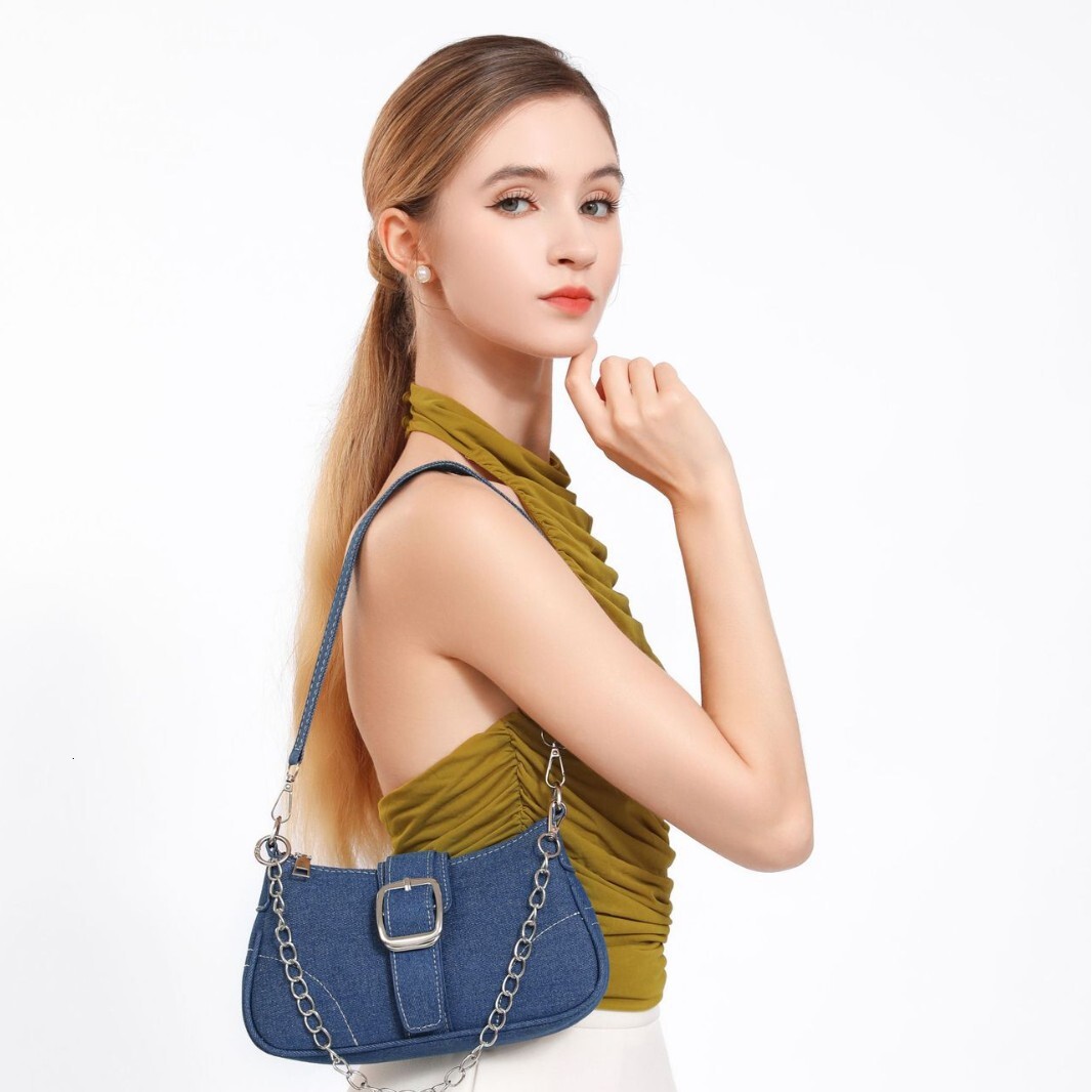 designer High-End Canvas Small Bag for Women 2025 New Niche Summer Fashion Chain Crossbody Shoulder Underarm Bag