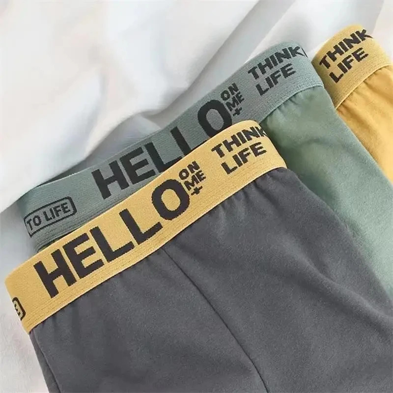 Random 10Pcs Mens Underwear Fashion High Stretch Boxer Shorts Breathable Soft Mens Shorts Comfortable Plus SizeL-4XL 250530