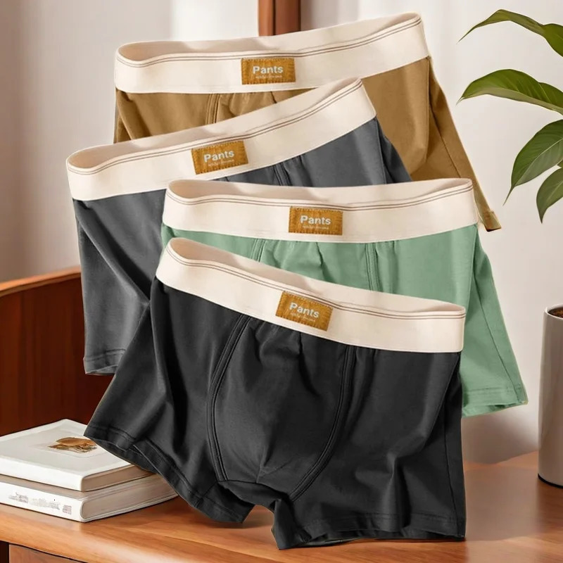 3pcs Men Panties Cotton BoxerShorts Man Underwear Mens Boxers Breathable U Convex Male Underpants Sexy Trunks 250530