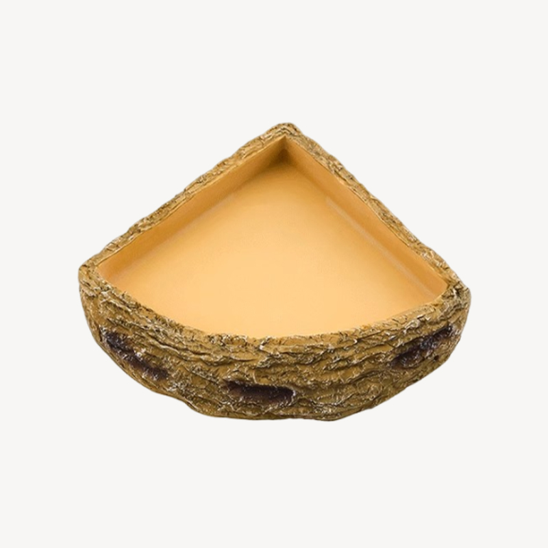 Eco-Friendly Aquatic Accessory for Tropical Rainforest Pets Clear Vessel Drinkery