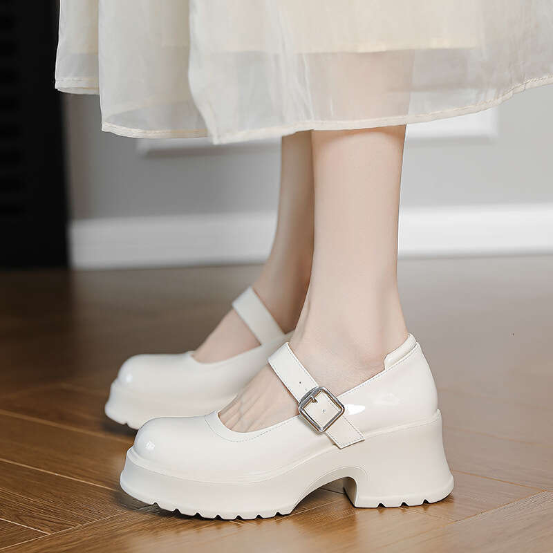 Mary Jane for Women 2025 New High Versatile Petite Height Increasing White Chunky Heels to Match Skirts Small Leather Shoes