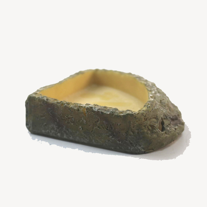 Eco-Friendly Aquatic Accessory for Tropical Rainforest Pets Clear Vessel Drinkery