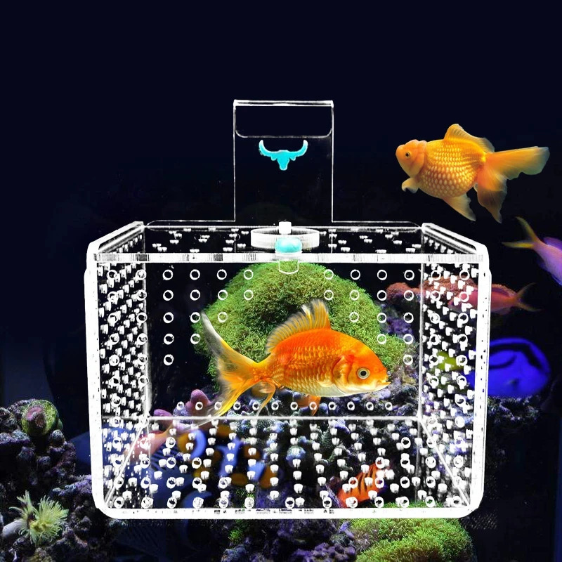 1mm/3mm 3 Sizes Suspended Incubator Aquarium Tank Small Fry Breeding Box Acrylic Transparent Fish Tank Isolation Box 250530