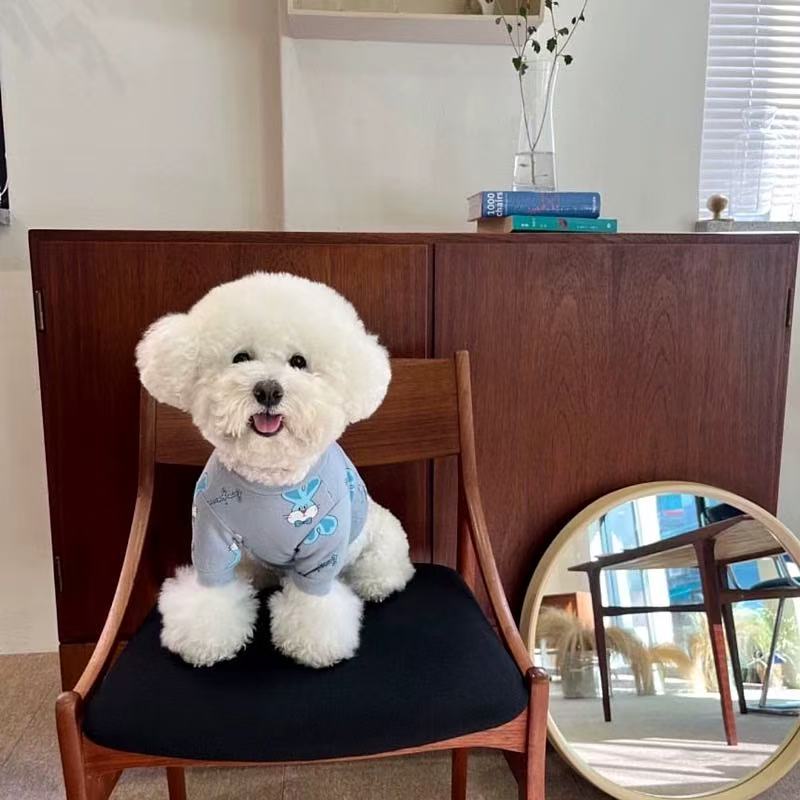 T00358 Pet T-shirt summer thin dog clothes cat Yorkshire schnauzer teddy bear small dog Yorkshire