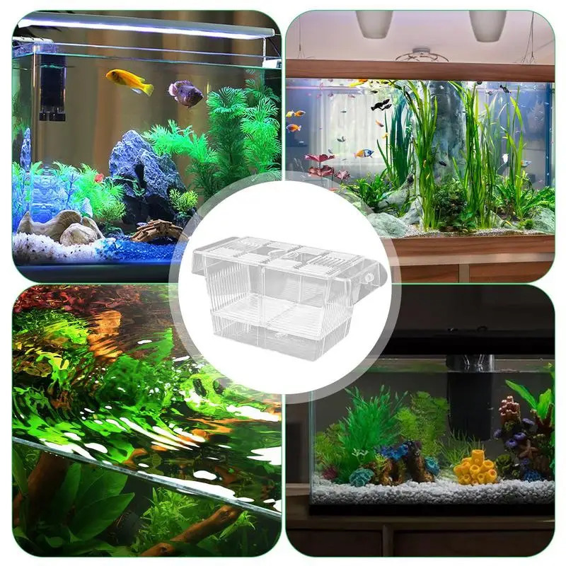 Aquarium Fish Incubator Breeding Box Fish Breeding Box Acrylic Hatchery Incubator Tank Seedling Reproduction Holder 250530