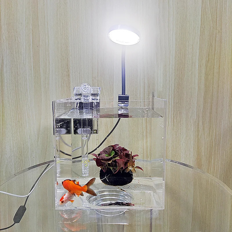home office desktop transparent acrylic aquarium water grass ecological breeding small water tank small shrimp small turtle s 250530