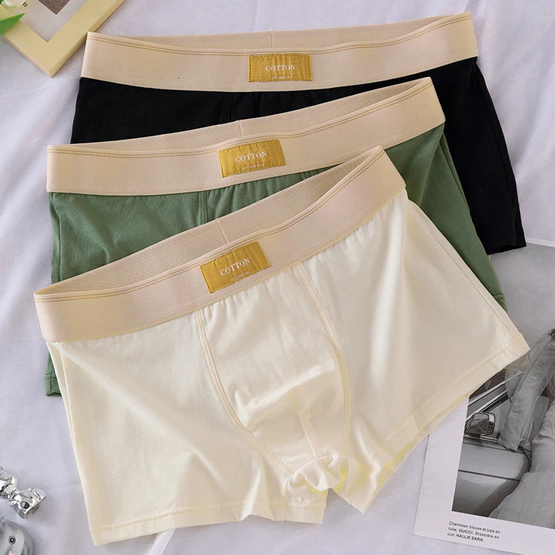 C. S Men Underwear Pure Boxer Shorts Hombre Cotton Panties Man Breathable Underpants Sexy Sports Comfort Male Boxers 250530