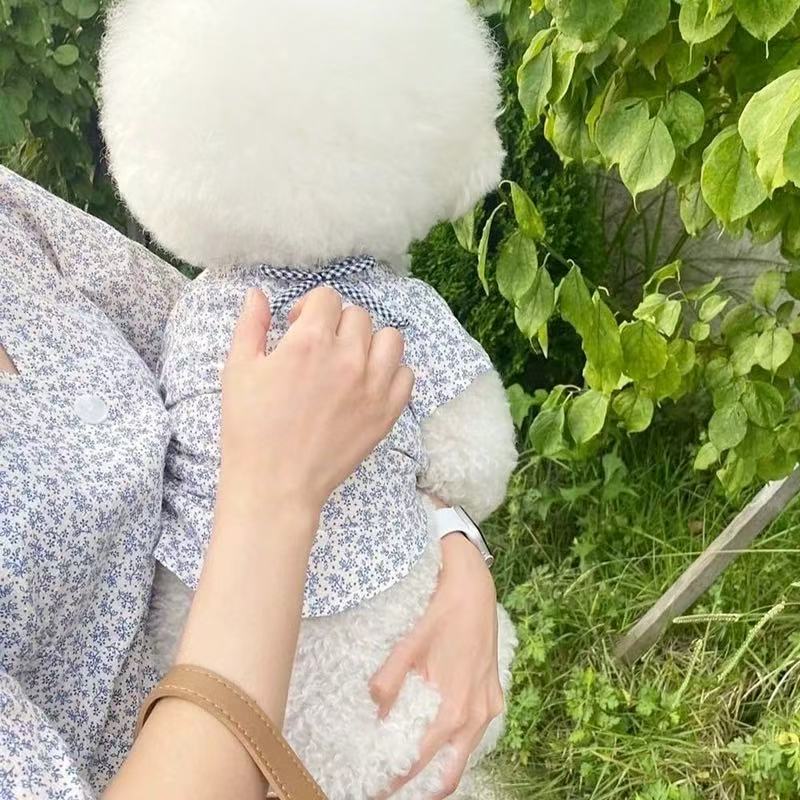 T00356 Clothes small dog summer thin cat clothes pet Bichon Pomeranian Teddy small puppy vest summer