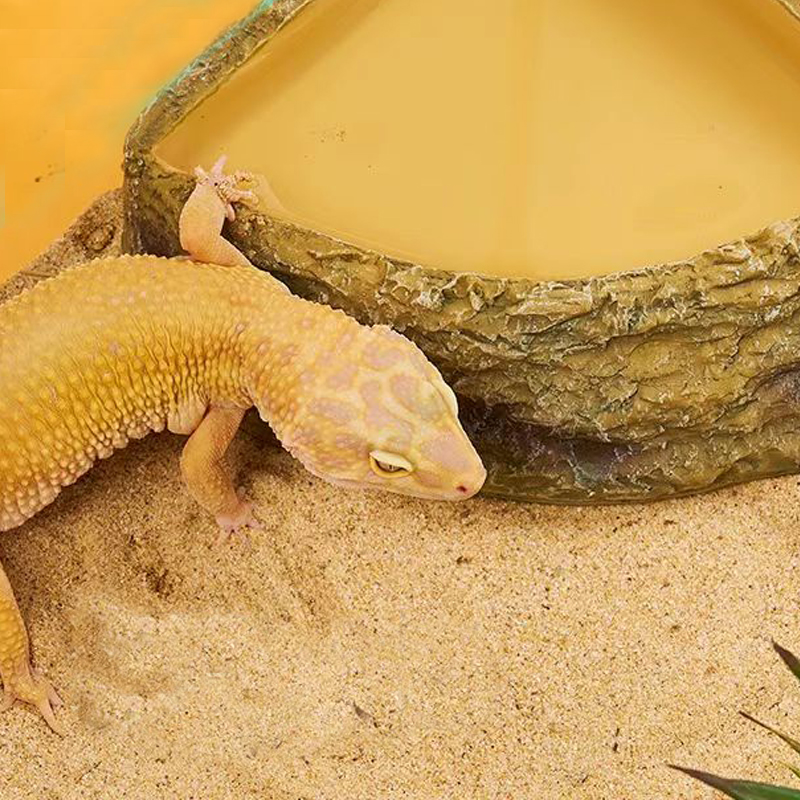 Eco-Friendly Aquatic Accessory for Tropical Rainforest Pets Clear Vessel Drinkery