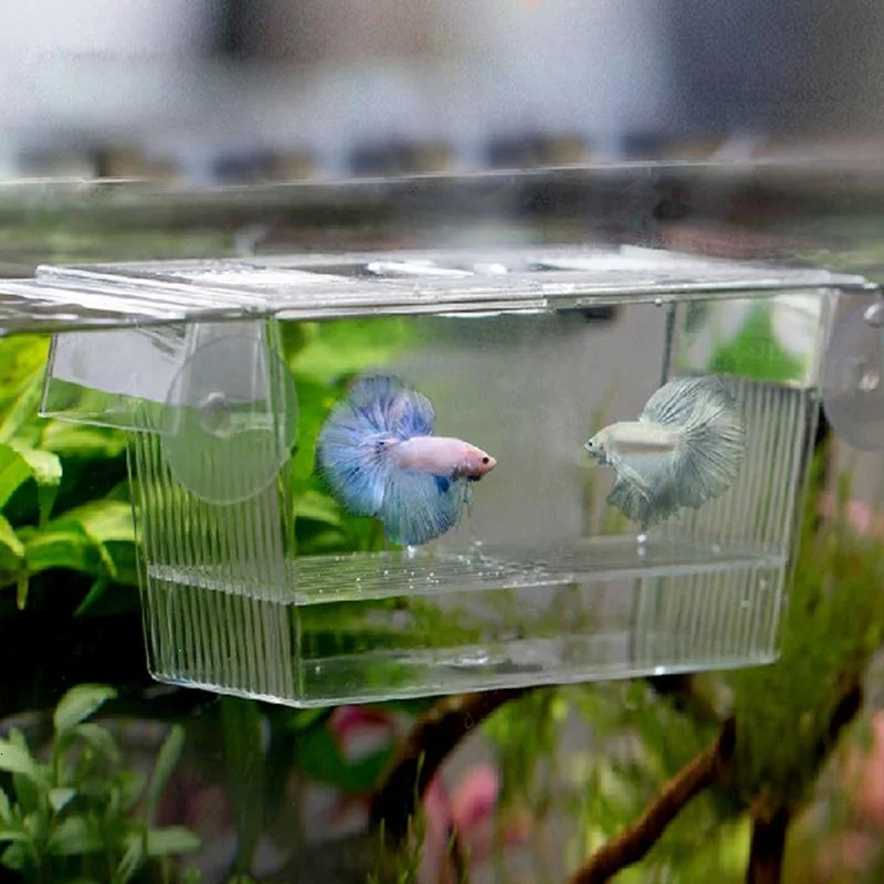 Transparent Fish Tank Breeding Aquarium Incubator Isolation Box Hatching Boxes Acrylic Fish Tank Holder Fish Breeding Box 250530