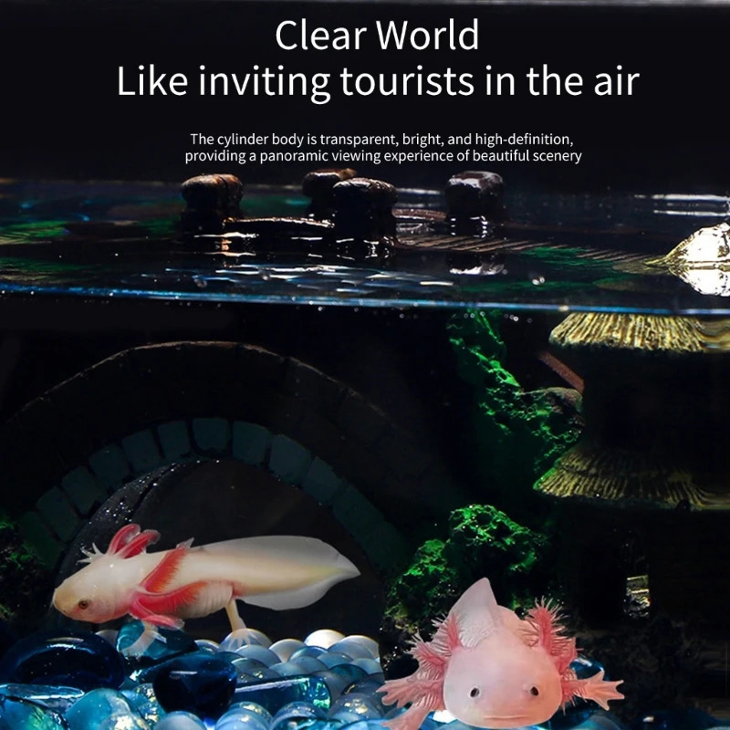 Transparent Acrylic Fish Tanks Large Capacity Aquarium For Axolotls ts Clear Acrylic Aquarium Tanks 250530