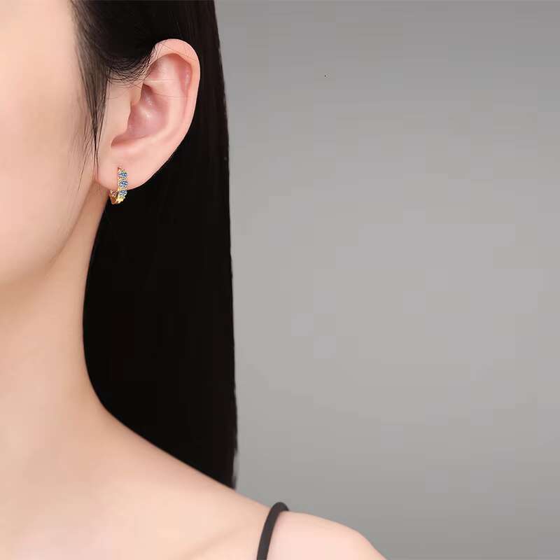 925 Pure Silver Earrings for Women Moissanite Earrings 1.2 Carat D Color Moissanite Earrings