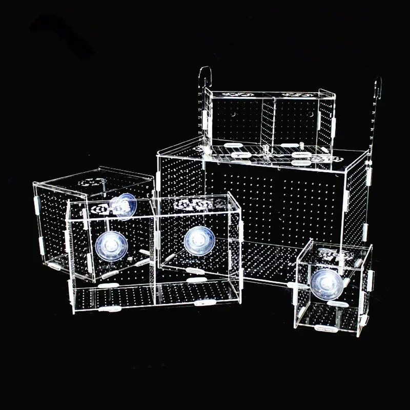 Transparent Acrylic Single Grid Double Grid Accessories Ornamental Fish Breeding Isolation Box Fish Tank Aquarium Incubator 250530