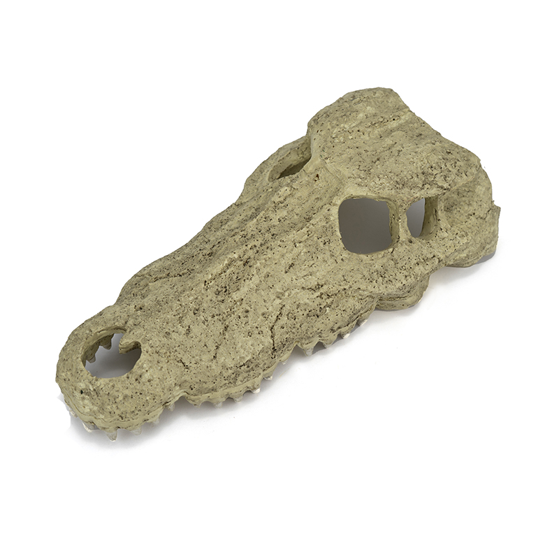 Realistic Crocodile Headed Skeleton Shell Habitat for Reptiles - Perfect Aquatic Decor