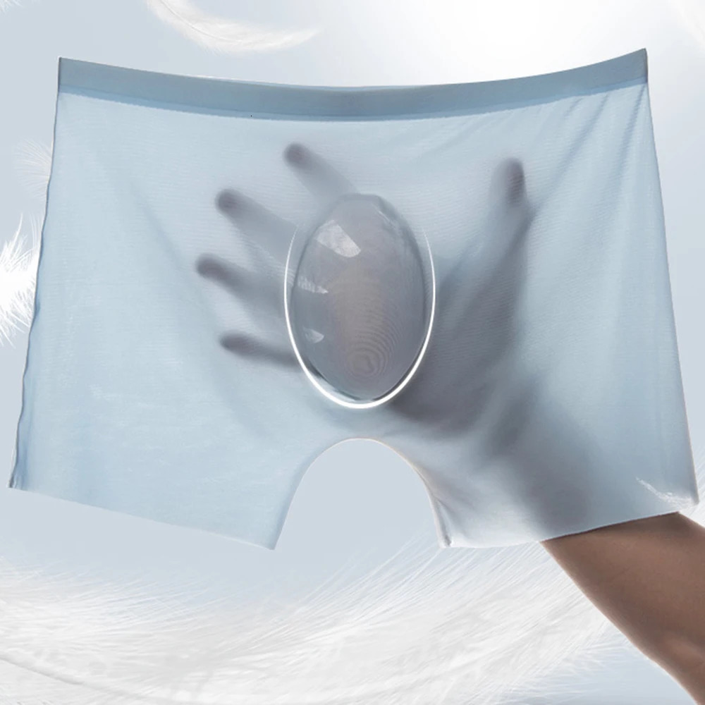 2Pcs Men Panties Mens Ice Silk Boxers Seamless Sexy Underwear Man Ultrathin Breathable Boxer Shorts Male Underpants Boxershorts 250526