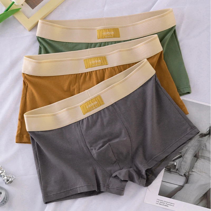 C. S Men Underwear Pure Boxer Shorts Hombre Cotton Panties Man Breathable Underpants Sexy Sports Comfort Male Boxers 250530