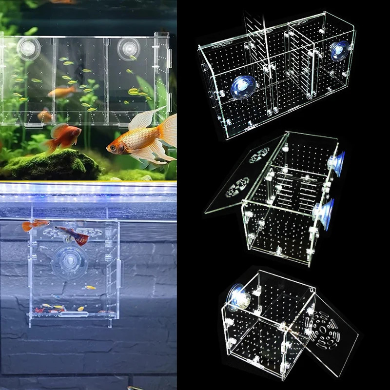 Transparent Acrylic Single Grid Double Grid Accessories Ornamental Fish Breeding Isolation Box Fish Tank Aquarium Incubator 250530