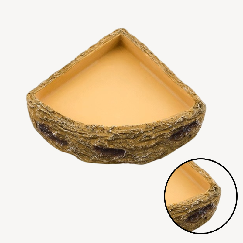 Eco-Friendly Aquatic Accessory for Tropical Rainforest Pets Clear Vessel Drinkery