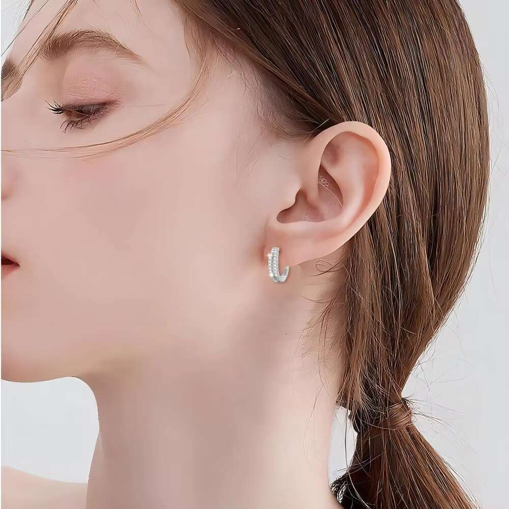 S925 Pure Silver Double Row Diamond Earrings for Women Minimalist Luxury Design with INS Cold Tone