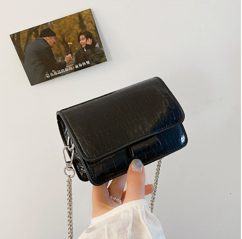 Super Popular Small Bag for Women 2025 New Summer Exquisite Versatile Unique Crossbody Coin Purse Niche Silver Mini Bag