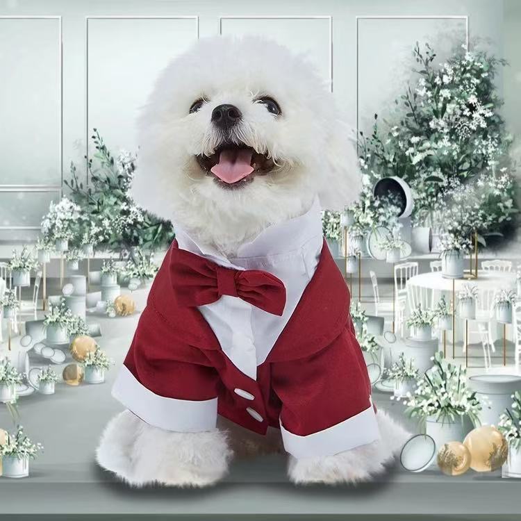 T00370 Cats and dogs suitable for festive clothes suits Teddy Samoyed Labrador Border Collie Golden Retriever dress dress