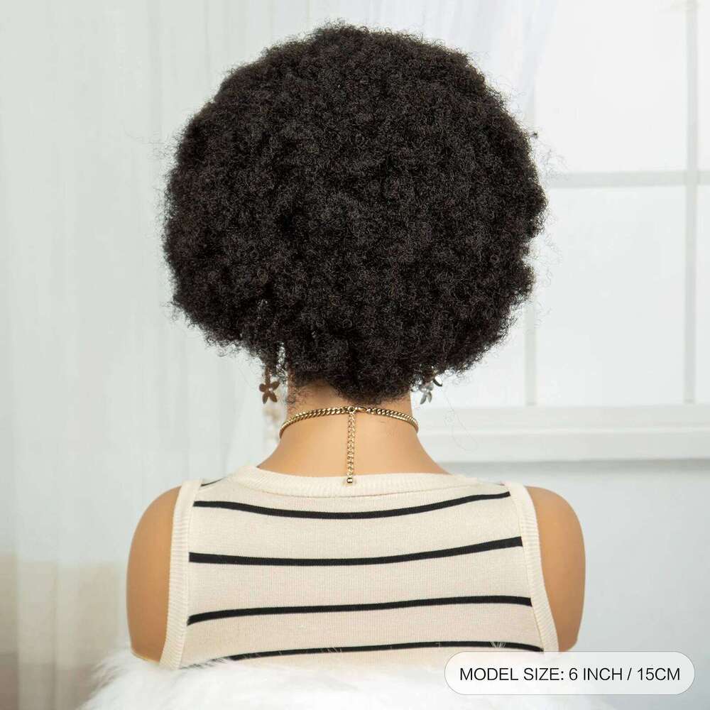 6Inch Natural Afro Kinky Curly Synthetic Braided with Baby Hair Transparent Lace Front Cornrow Braids Wigs for Black Women