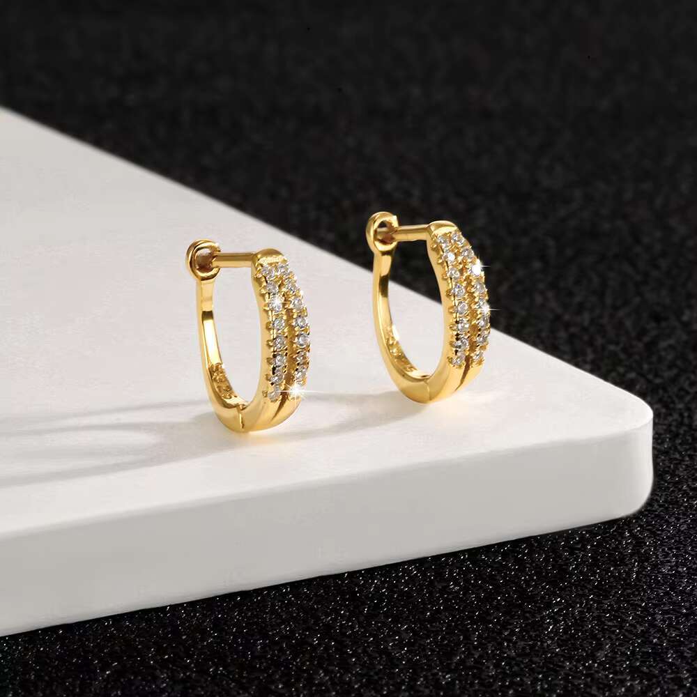 S925 Pure Silver Double Row Diamond Earrings for Women Minimalist Luxury Design with INS Cold Tone