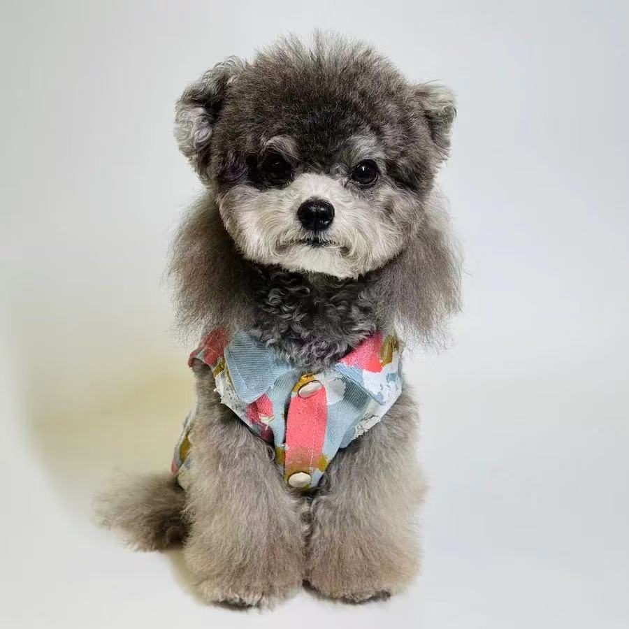 T00365 Pet vest denim summer thin puppy clothes Teddy Bichon Corgi Maltese large dog golden retriever cat