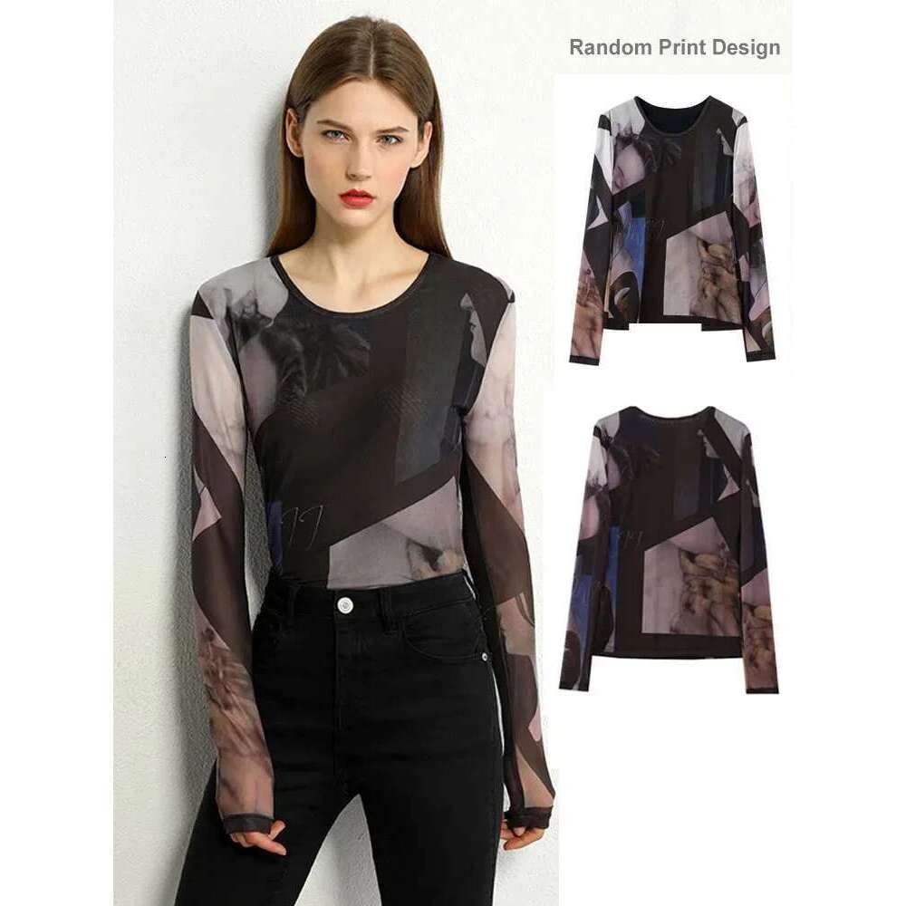 AMII Minimalism Long Sleeve T-Shirts For Women 2025 Spring New Bottoming Shirt Mesh Printing Inside Slim Trendy Tops 12421003