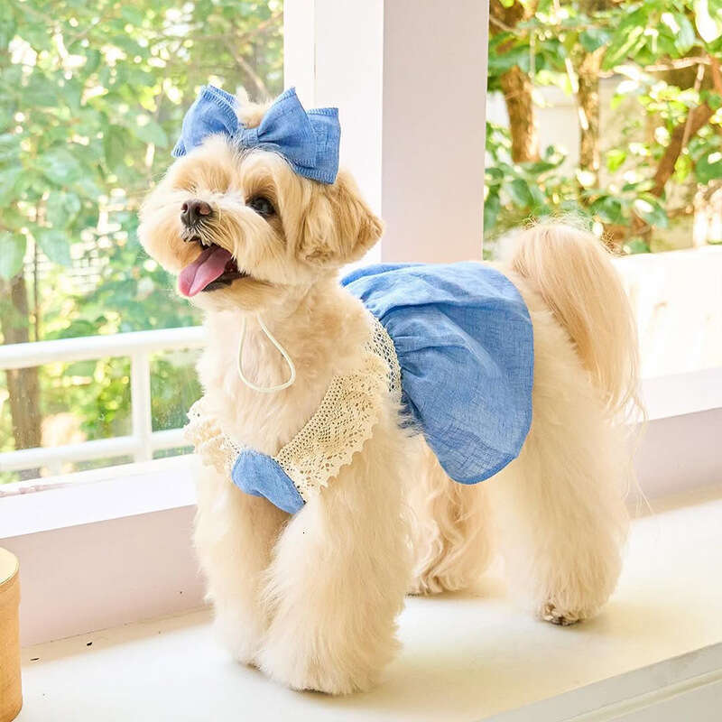 Pet Clothing Dog Cat Puppy Clothes Spring Summer Thin Dress Denim Skirt + Bowknot designer bag
