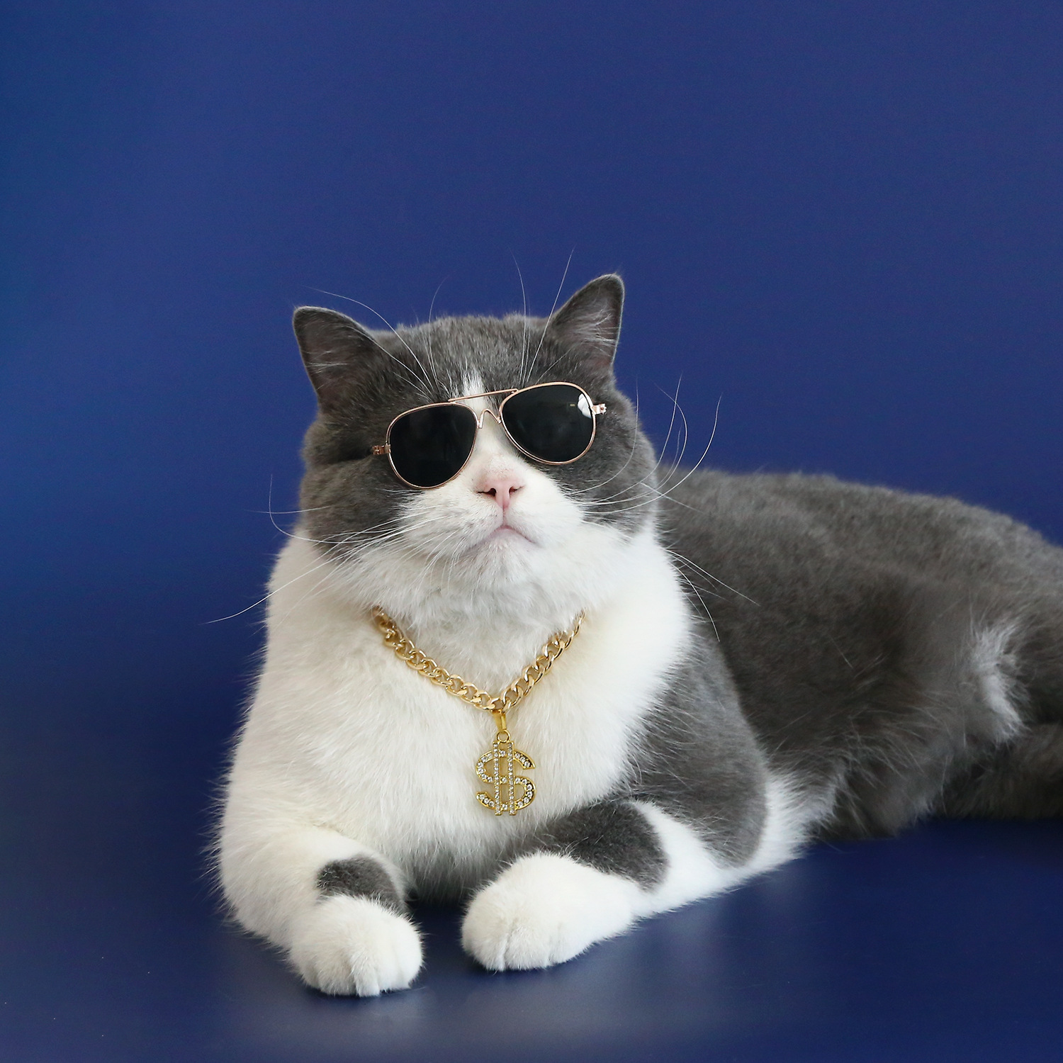 Luxury Adjustable Pet Gold Chain with Dollar Charm, Lightweight Cuban Link Necklace, Bling Jewelry Necklaces for Small Medium Large Breed Dog and Cat 