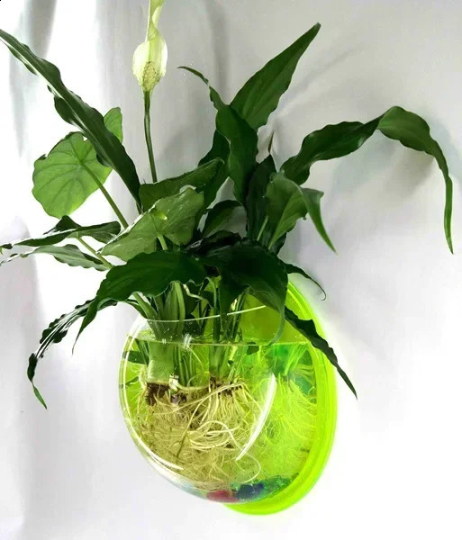 Pinsjar Acrylic Fish Bowl Wall Hanging Aquarium Tank Aquatic Pet Supplies Pet Products Wall Mount Fish Tank for Betta fish 250530