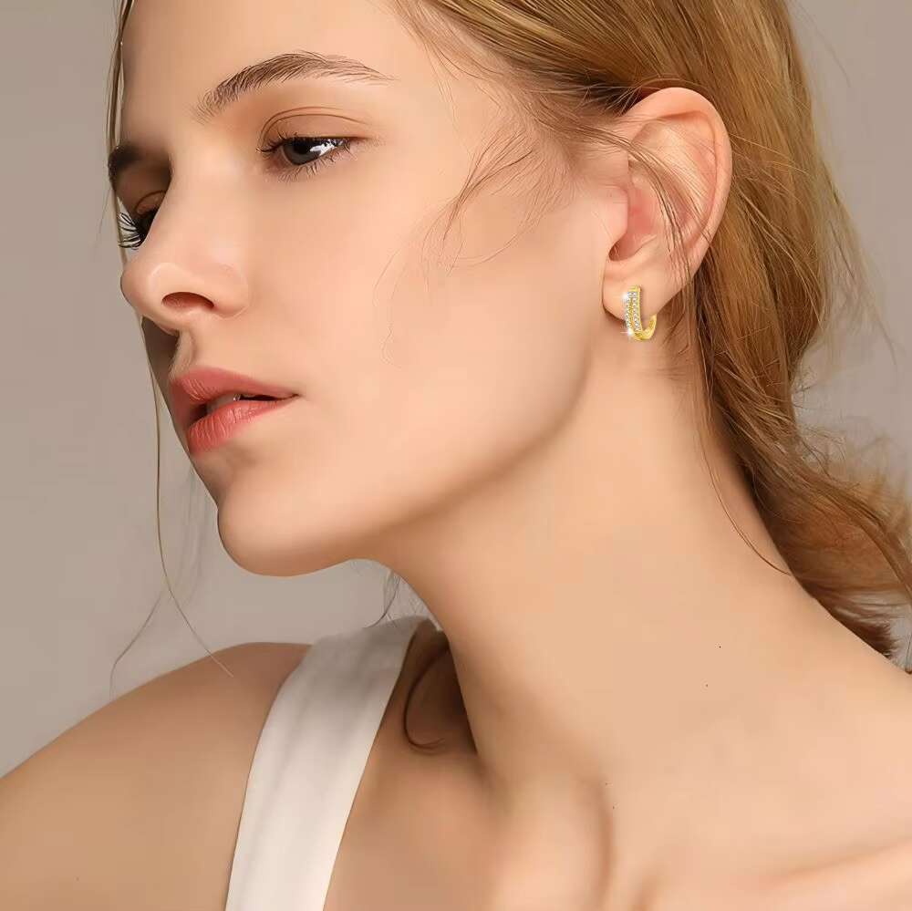 S925 Pure Silver Double Row Diamond Earrings for Women Minimalist Luxury Design with INS Cold Tone