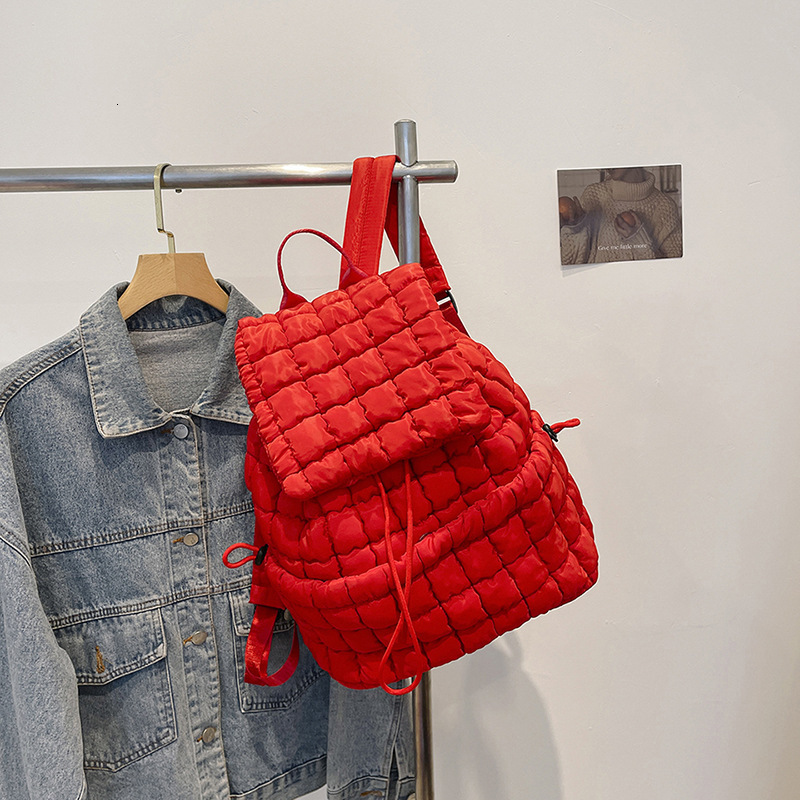 Free Shipping Down Pleated Backpack Women's Bag European And American Cloud Bag New Large Capacity Simple Grid Puff Bag Designer Outdoor Leisure 