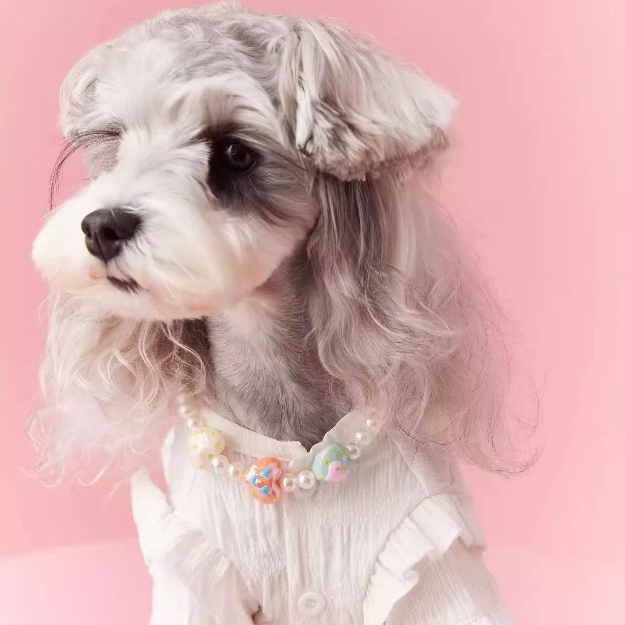 T00367 Pet clothes female dog schnauzer pomeranian teddy maltese ladies white bottom lace small dog shirt