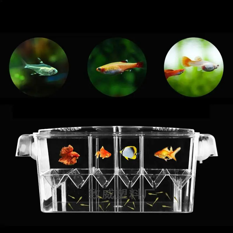 Acrylic Double-Deck Clear Fish Breeding Isolation Box Hatchery Divider for Shrimp Clownfish Aggressive Fish Injured 250530