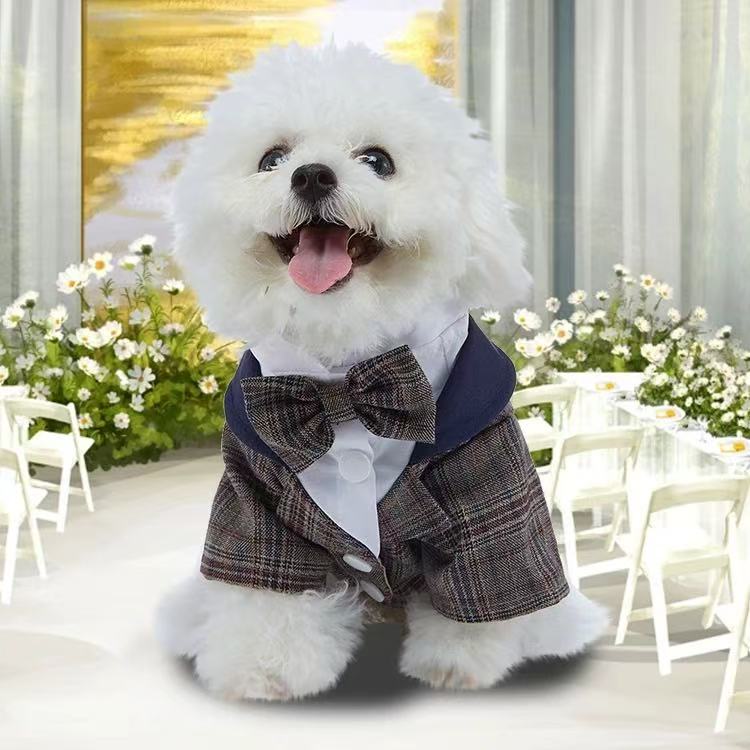 T00370 Cats and dogs suitable for festive clothes suits Teddy Samoyed Labrador Border Collie Golden Retriever dress dress
