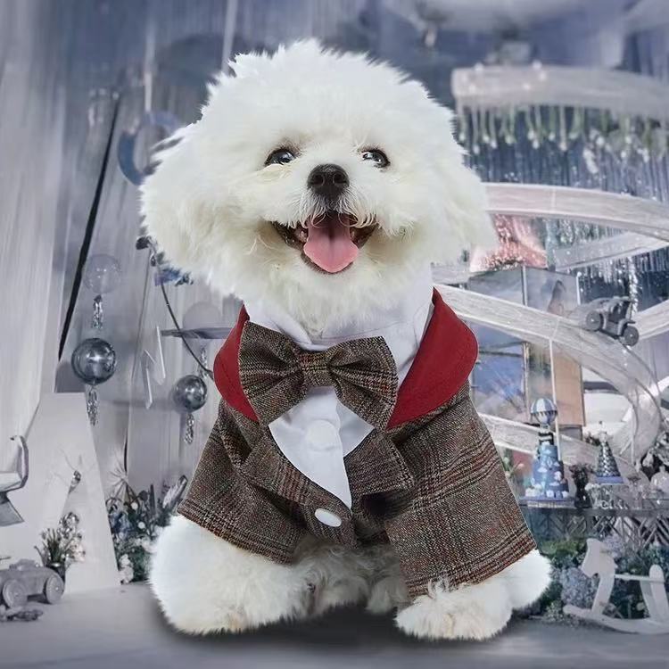 T00370 Cats and dogs suitable for festive clothes suits Teddy Samoyed Labrador Border Collie Golden Retriever dress dress