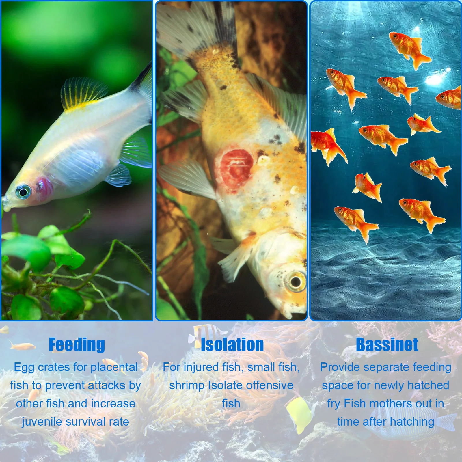 Aquarium Breeder Box Fish Breeding Box Clear Fish Isolation Box Fish Hatchery Acrylic Fish Incubator Box with Detachable MeshLid 250530