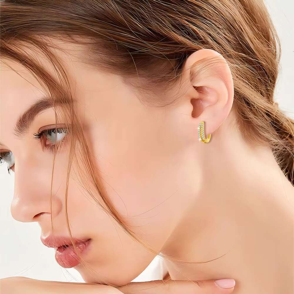 S925 Pure Silver Double Row Diamond Earrings for Women Minimalist Luxury Design with INS Cold Tone