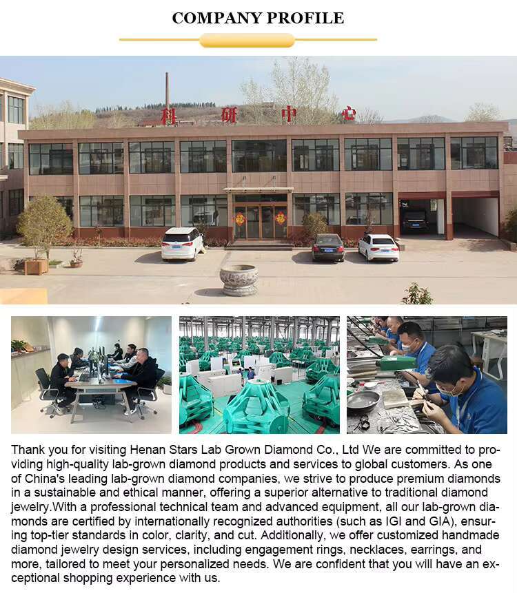 Custom Variety 10K 14K 18K Yellow White Solid Gold DEF Color VS VVS 1Ct Round Cut Lab Grown Diamond Stud Earrings For Women